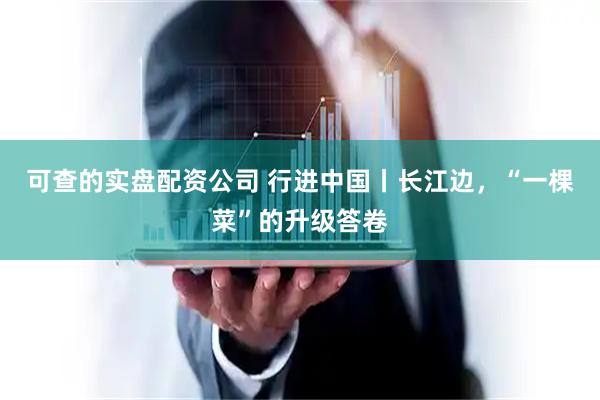 可查的实盘配资公司 行进中国丨长江边，“一棵菜”的升级答卷
