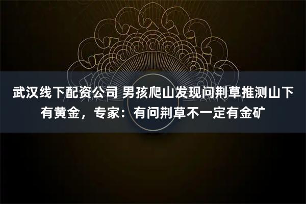 武汉线下配资公司 男孩爬山发现问荆草推测山下有黄金，专家：有问荆草不一定有金矿